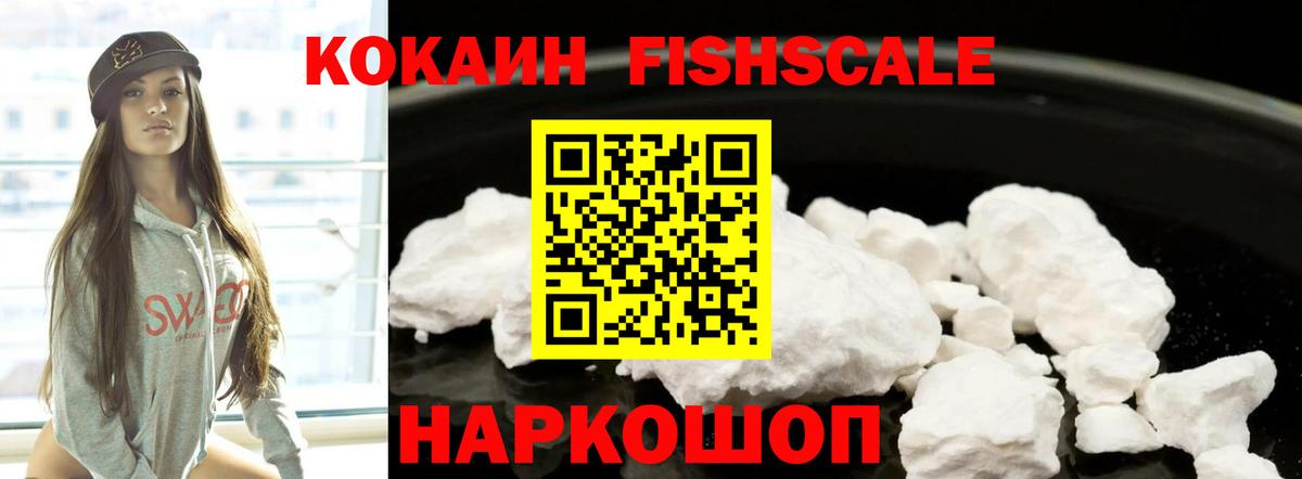 Cocaine  Бийск  Кокаин FishScale  Кокаин FishScale 
