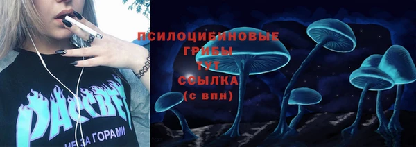 хмурый Куйбышев