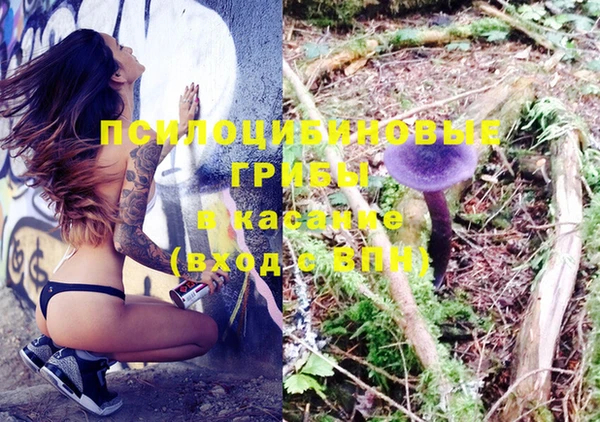 эйфоретик Кулебаки