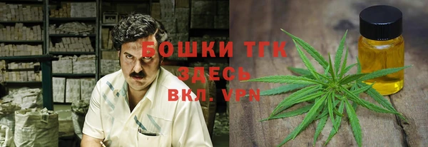 эйфоретик Кулебаки