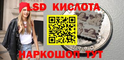 дмт Гатчина