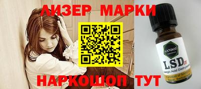 дмт Гатчина