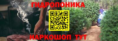 дмт Гатчина