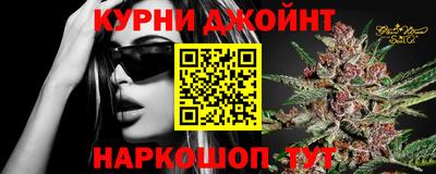 дмт Гатчина