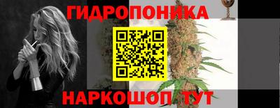 дмт Гатчина