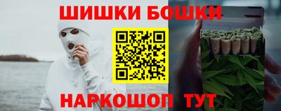 дмт Гатчина