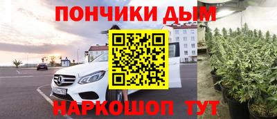 дмт Гатчина