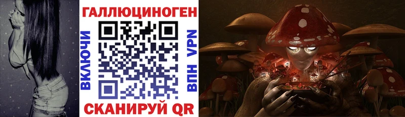 купить наркотик  Бийск  Галлюциногенные грибы Psilocybine cubensis 