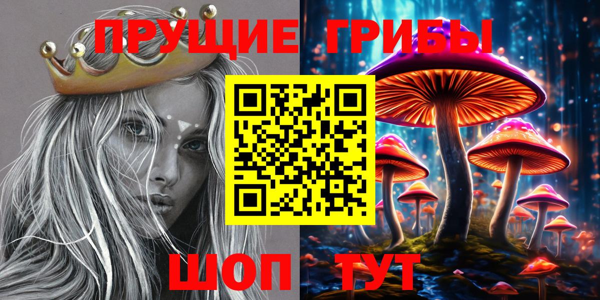 Бийск  наркошоп  Вход с VPN  Галлюциногенные грибы Cubensis 