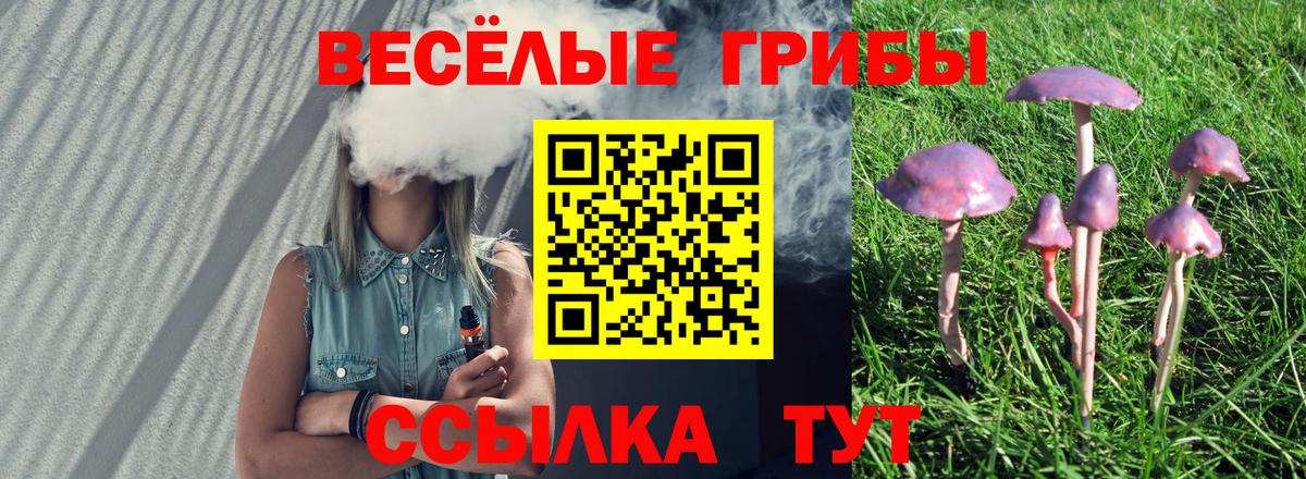 Галлюциногенные грибы Psilocybine cubensis Бийск